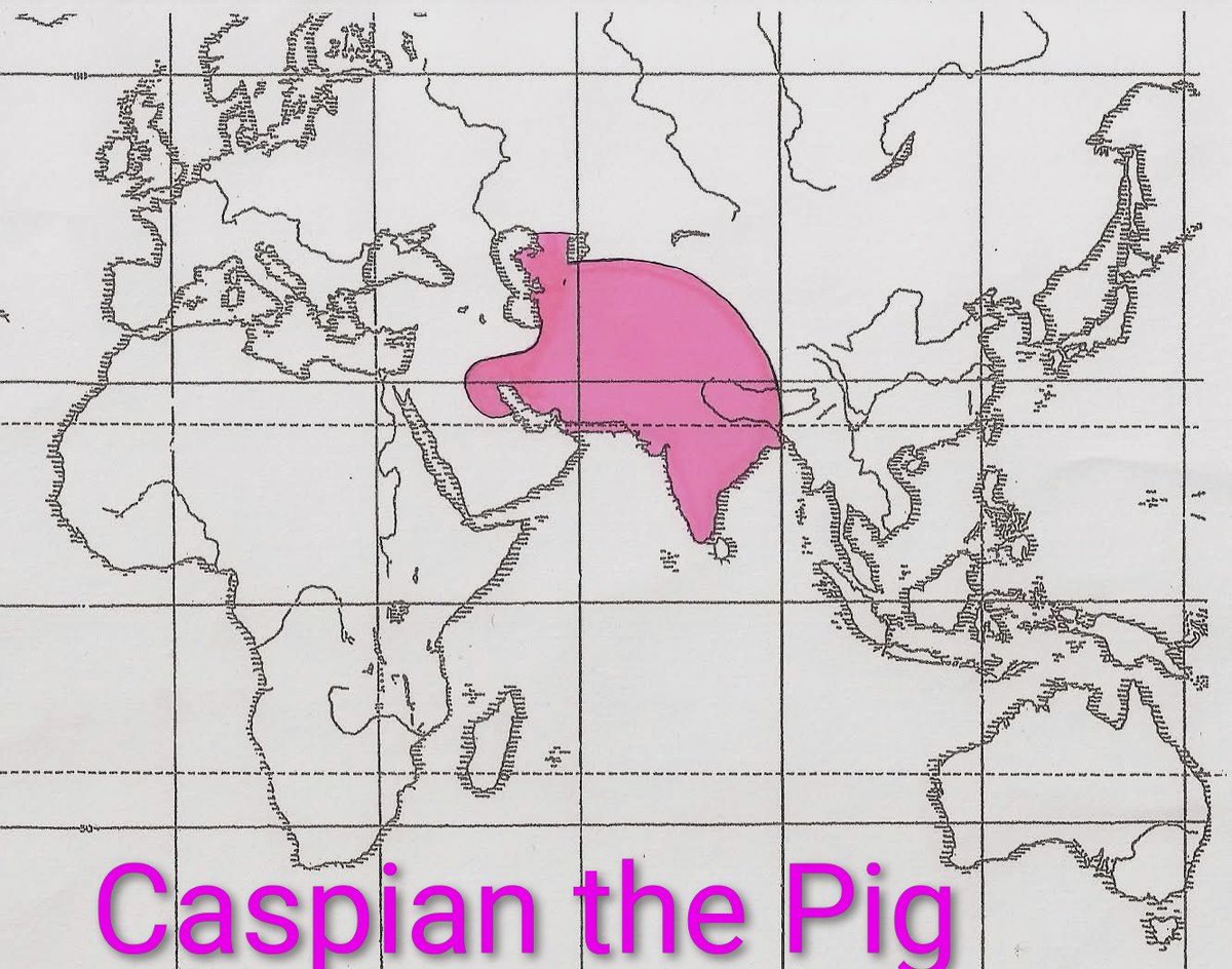 Eyeballplanet's tweet photo. @JohnCleese Meet Saudi the pig. Stirrer the pig and Caspian the the pig.
Pigs eat fish and if the Lord says pigs. Then the Lord's designs speak volumes over self appointed lunatics. There are 16 pig designs on the planet Earth. I've included Onoki the lower Nth  NZ pig. https://t.co/F3S4t4CrLd