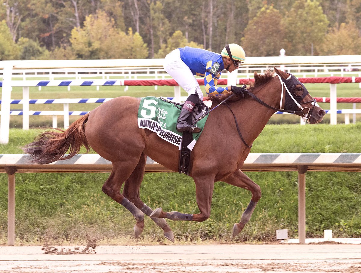 mdhorsemen's tweet photo. Anna’s Promise, 4YO Promises Fulfilled filly, ships from KY to win 1M Twixt S. @LaurelPark with @JevianToledo aboard. Trained by Carlos David for Bell Racing LLC. Now 17-4-4-2. (Jim McCue 📷) https://t.co/snnAfkvk6o