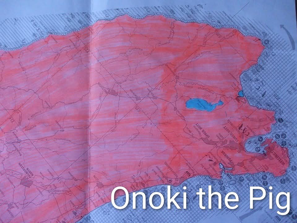 Eyeballplanet's tweet photo. @JohnCleese Meet Saudi the pig. Stirrer the pig and Caspian the the pig.
Pigs eat fish and if the Lord says pigs. Then the Lord's designs speak volumes over self appointed lunatics. There are 16 pig designs on the planet Earth. I've included Onoki the lower Nth  NZ pig. https://t.co/F3S4t4CrLd