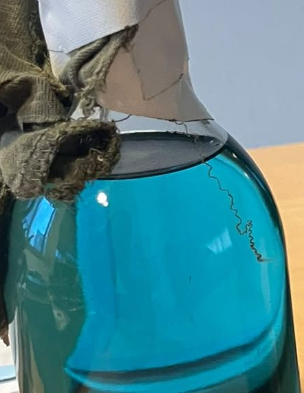 ContreAttaque_'s tweet photo. Trèfle de plaisanterie : la bouteille sur la gauche est en verre transparent comme on le voit en zoomant. Ce qui signifie que son liquide est bleu. L'essence est transparente/jaune.

Cela ressemble beaucoup plus à du curaçao qu'à un engin incendiaire.

Et la troisième ? Du Gin ? https://t.co/ge5NuVAXvS