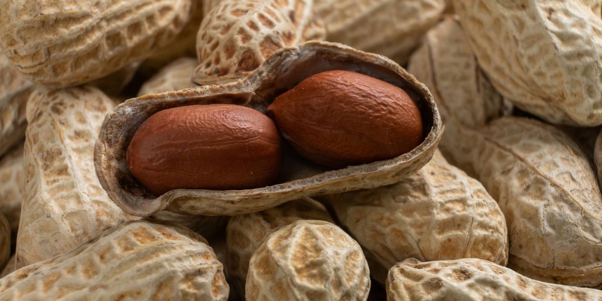 KCBSRadio's tweet photo. This 'nut' could help you avoid diabetes
https://t.co/51fWURMCFa https://t.co/RJMJjHfPCK