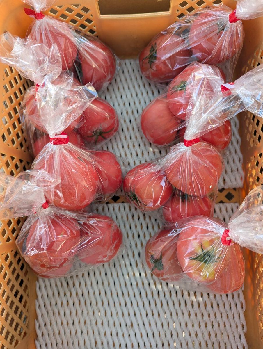 silver_farm_vc's tweet photo. おはようございます⛅️
八百屋のよっちゃんです🍅
今日は日曜日、美彩都 湯友楽で８〜１６時です。
ご来店お待ちしてます😊

#フォロー
#RP
#会計時画面提示
#新鮮野菜プレゼント

【今日のオススメ】価格は税込
バナナ1袋→¥100
トマト1袋→¥250 https://t.co/S5c3Ud1xC2