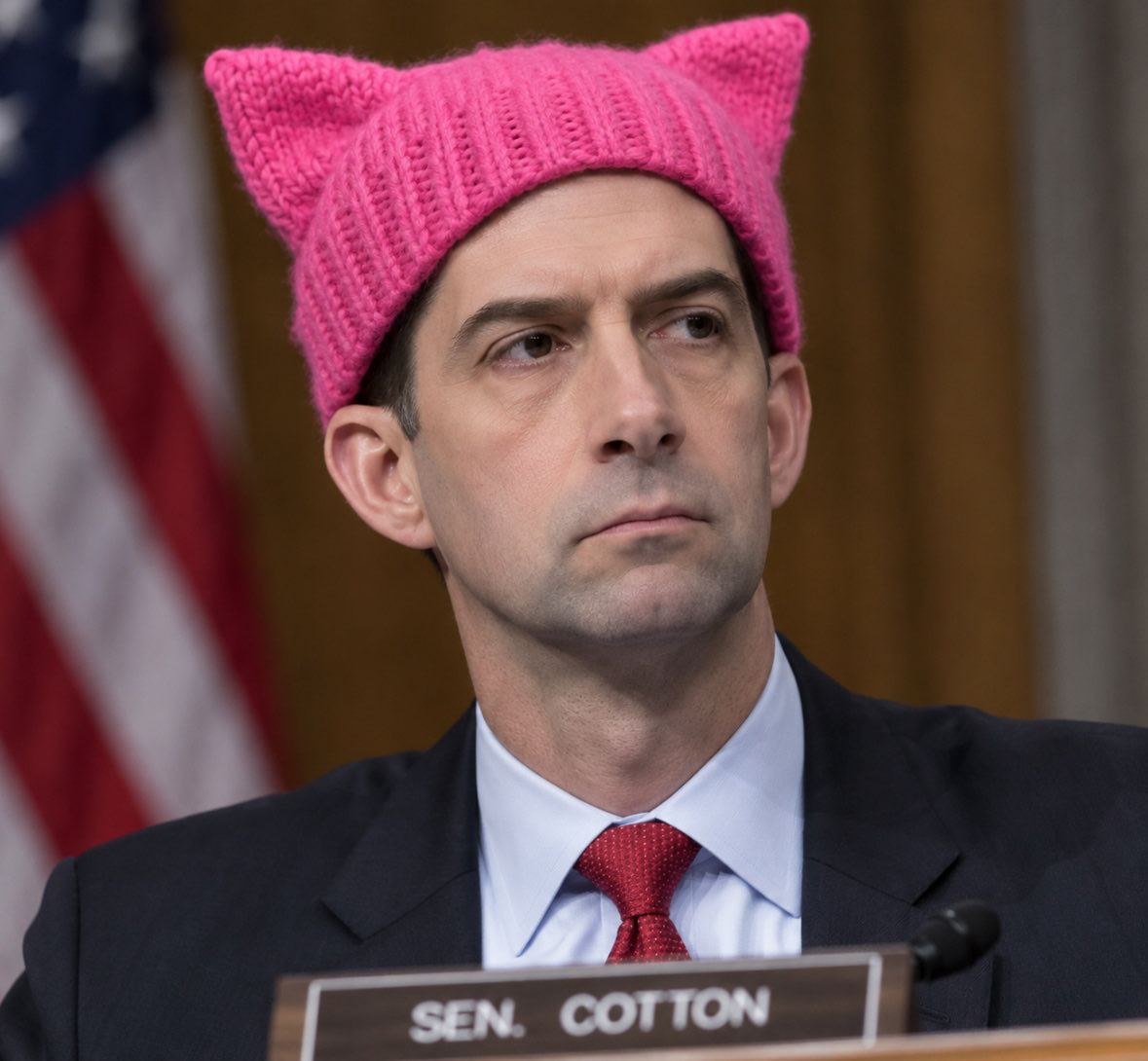 TrumpsHurricane's tweet photo. Tom Cotton is a RINO Sellout. It’s time to primary him right on out of the Senate. https://t.co/8uvzsRZFw4