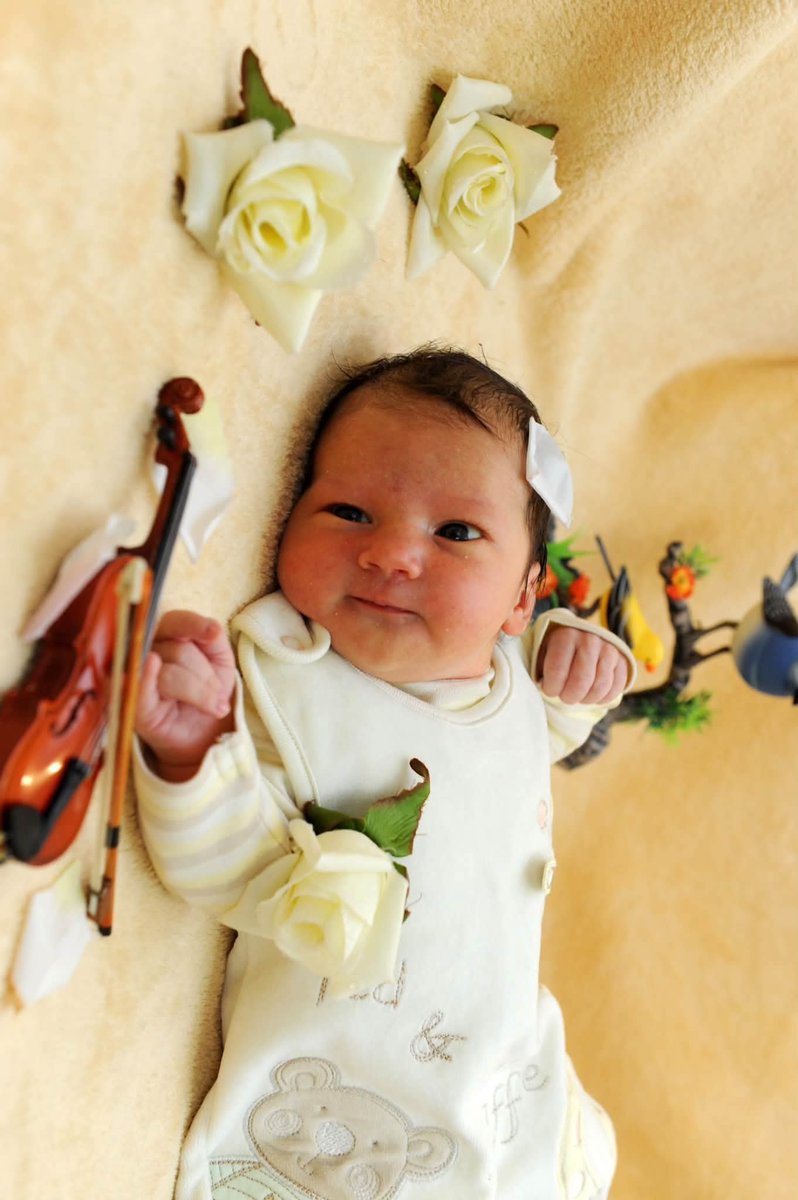 KarolinaroRose's tweet photo. 18+🎻❤️🎄🎉🧨 https://t.co/OMAQNV1xVU
