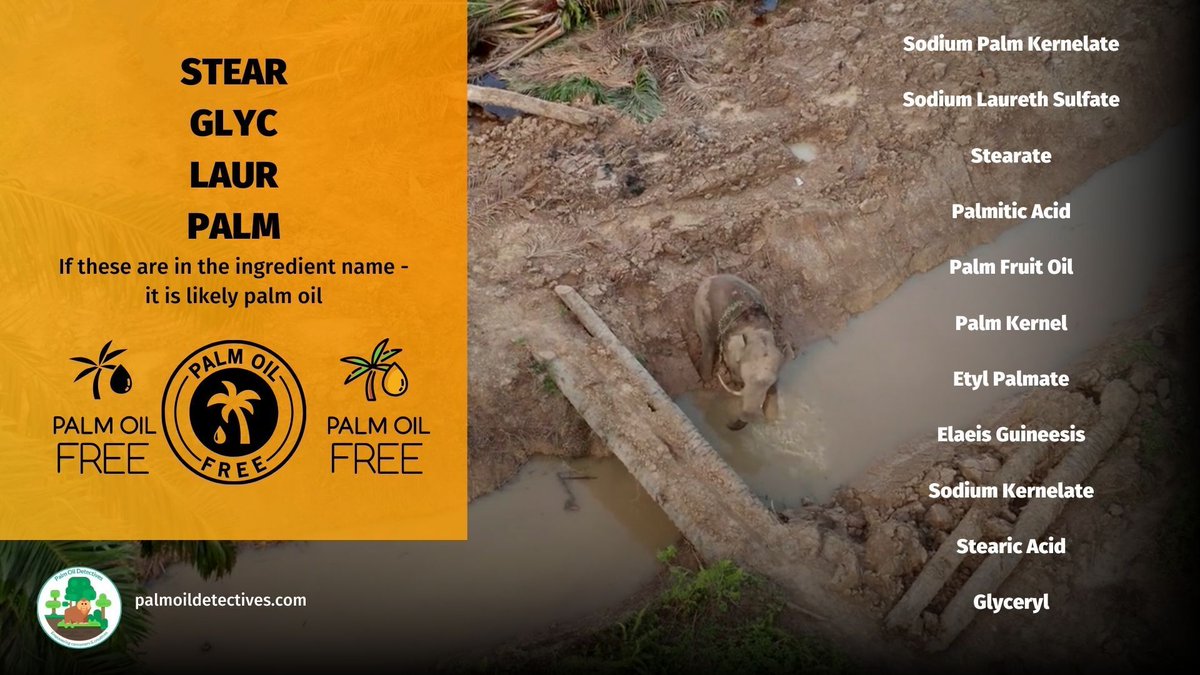 PalmOilDetect's tweet photo. The biggest lie you were never told: “Sustainable” #RSPO #PalmOil stops #deforestation. It doesn’t! So avoid #snacks by #Mars #Kelloggs #Nestle all the big brands. Instead buy #PalmOilFree snack #food. Learn more 🌴🩸🤯🧐⛔️ #BoycottPalmOil https://t.co/3hiTVGfbN3 https://t.co/MkfiXZPk5n