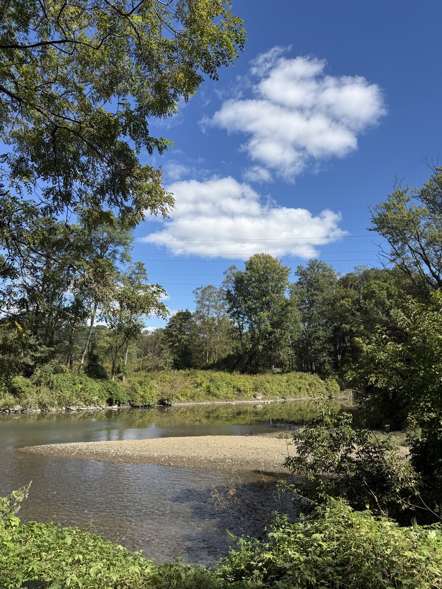zeitgeistlens's tweet photo. Saturday 3 October 2026 | Taking things slow.. Listening more. Breathing deep, into the woods I go. https://t.co/HC48G0OIfs