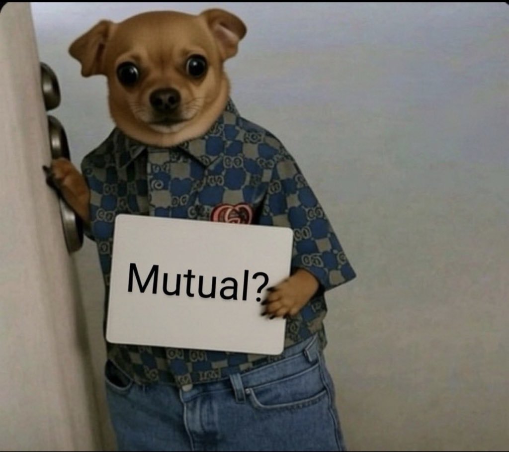 hey_velox's tweet photo. Late night mutuals, who is active? https://t.co/FpT87ku8GZ
