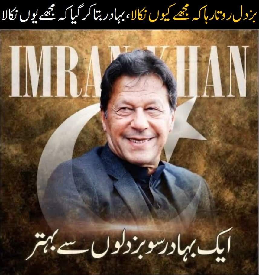 sadia48690286's tweet photo. @SohailAfridiISF https://t.co/8XC7ITtfLH