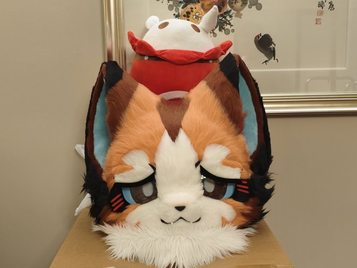 GDandKeliCat's tweet photo. 肥宅摄影 -> 可丽小猫咪

经历将近一年的减肥，终于接到可丽小猫了。

第一次出毛好热啊！但在HiFurry玩的很开心❍⩊❍ https://t.co/VI35RabObj