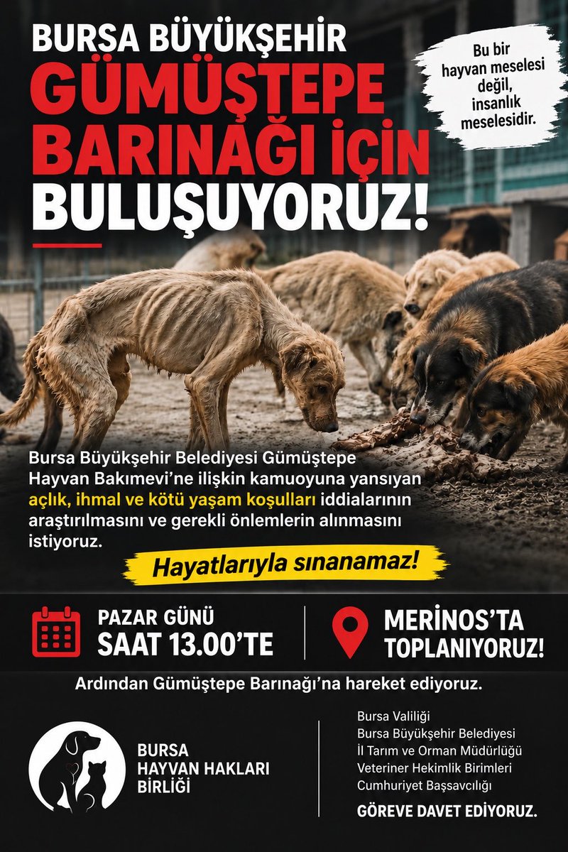 ayse0zer's tweet photo. Merinosta buluşuyoruz
#4EkimiKutlamıyoruz https://t.co/6e4PSRWL5x