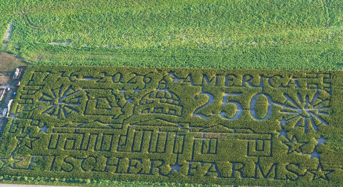 hofnpopper's tweet photo. Our local pumpkin patch has this for the maze this year. So cool looking for sure. #250America #PumpkinPatch https://t.co/zYSb1NzjPm