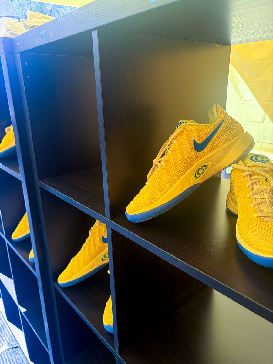 AllIowaAttack's tweet photo. 𝘕𝘖𝘛𝘏𝘐𝘕𝘎 𝘚𝘗𝘌𝘊𝘐𝘈𝘓 𝘛𝘖 𝘚𝘌𝘌 𝘏𝘌𝘙𝘌.*
*Just an Attack alum launching her signature shoe in Iowa City with our Attack East players &amp; coaches 🙌

#AttackFamily x #AttackAlumni https://t.co/oSuGYpiD9w