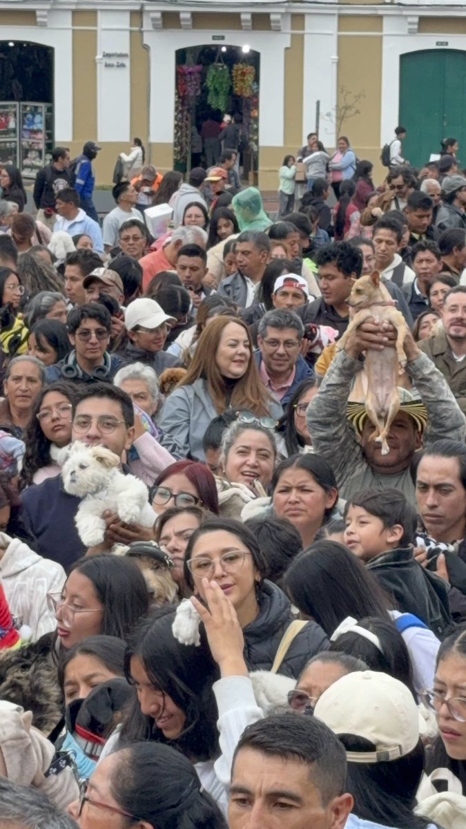 Dluarahi's tweet photo. En #Quito nunca te aburres: este 3 de octubre en la Plaza San Francisco se realiza la bendición de animales. Llegan personas con perros, gatos, cuyes y hasta peces. https://t.co/zzWjUDeUV1