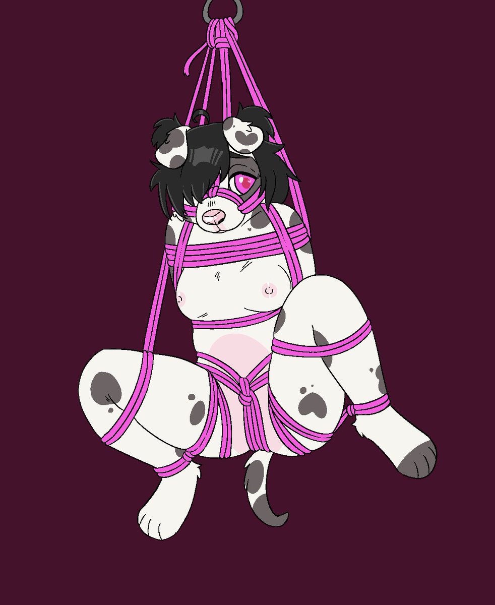naughtycritter's tweet photo. #kinktober day 3: suspension bondage 🪢 https://t.co/2Mrha5QRmY