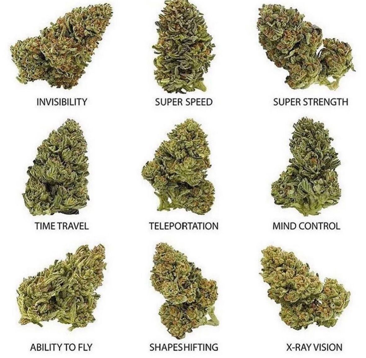 WeedPorns's tweet photo. You can only pick one, which are you going with? https://t.co/jq6gcWeZd0