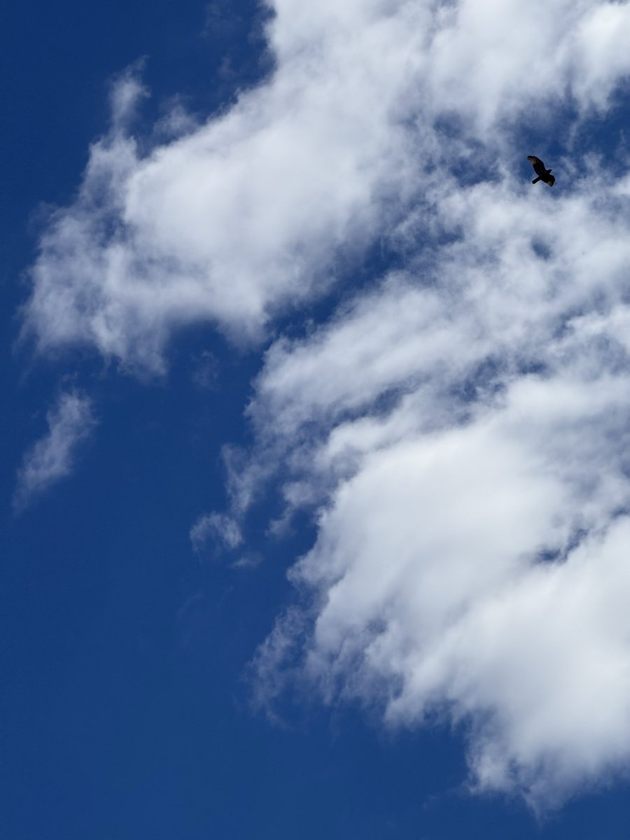 zeitgeistlens's tweet photo. Fly high https://t.co/PBAP4OjWiO
