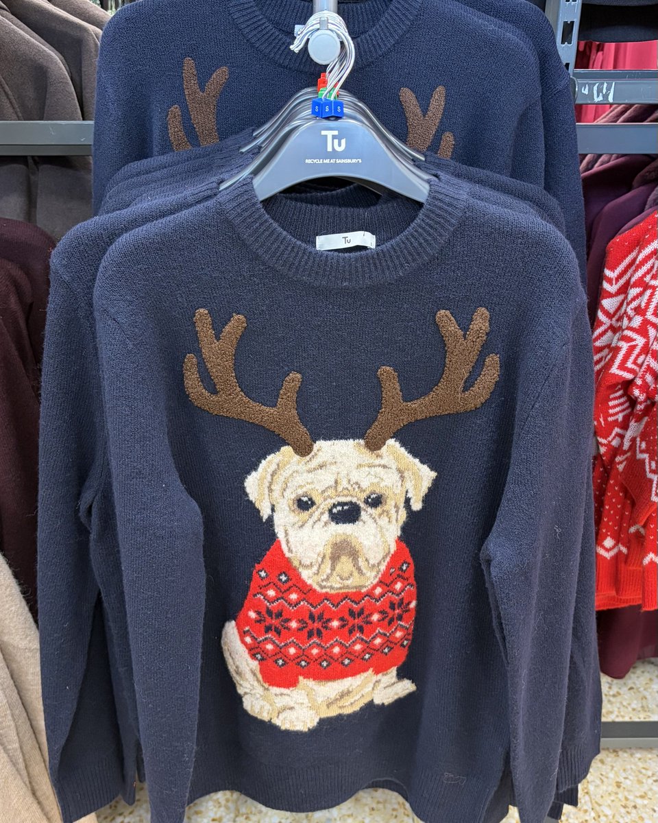 riice__pg's tweet photo. Sainsbury's が展開する
ファッションブランドTuで
もうクリスマスジャンパーが
たくさん売ってた🎄🇬🇧

これかわいい！！！
家族用で、左からメンズ・ウィメンズ
子ども用(ピンクと緑の2色)🐶🐱 https://t.co/8qHQ3xEwCk