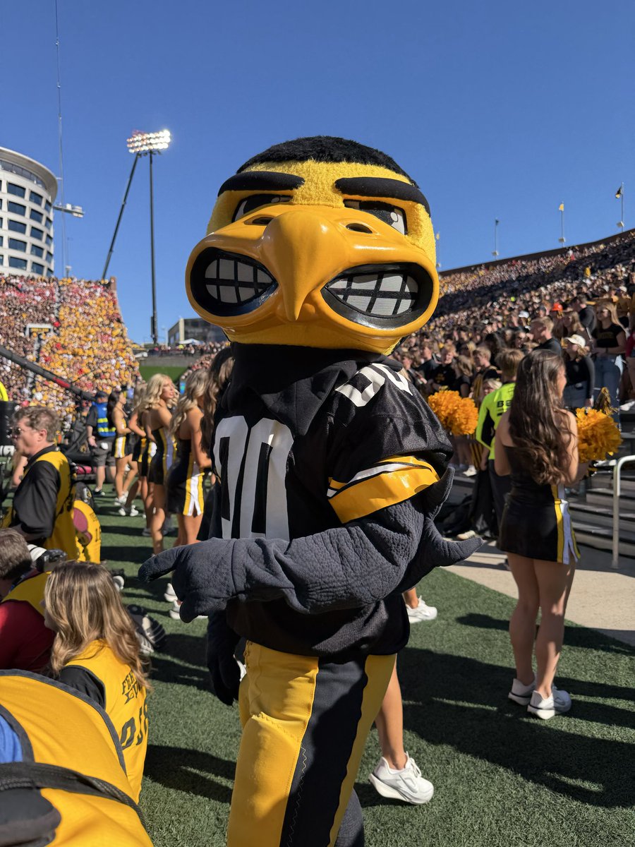 TomOrr4's tweet photo. Herky told me to tell you, “hi.”#BirdsWithTeeth https://t.co/F8d458QStx