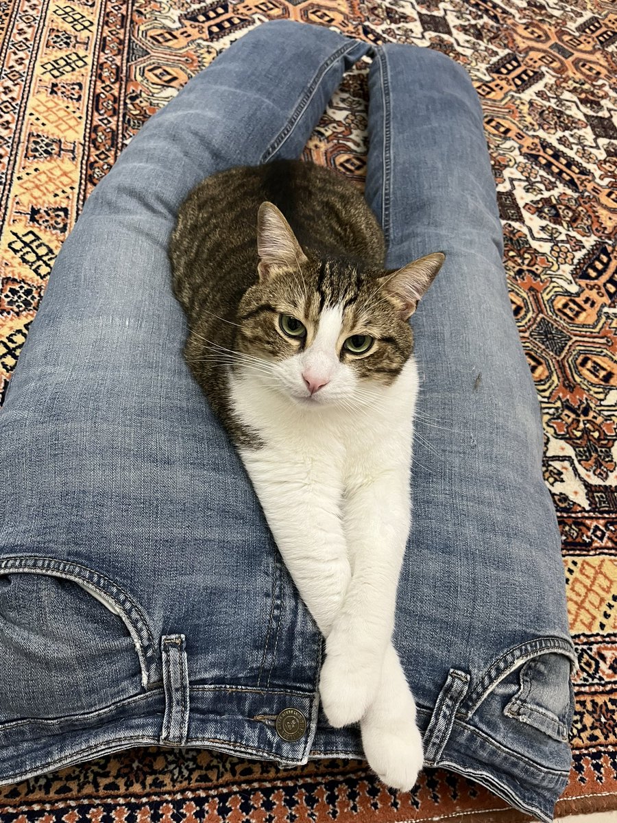 sakuraitobu's tweet photo. arkadaki kot pantolunu yerde yatan birisi sanmissiniz.... arkadaslar o annemin cocuklara yaptigi yalanci kucak..... dhenwnsnsjsnwnnsnss https://t.co/rNA7k9TKs9