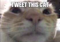 BobbyBaratheon3's tweet photo. https://t.co/PGVLUajMiC