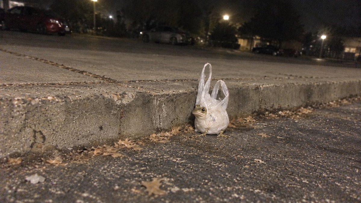 bagfrogmind tweet picture