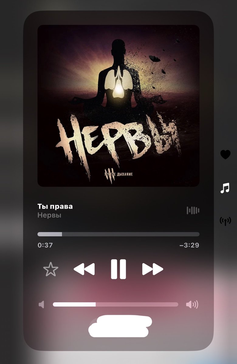 ha1red_'s tweet photo. мы будем дальше жить 😌 https://t.co/ICSckM2d5l