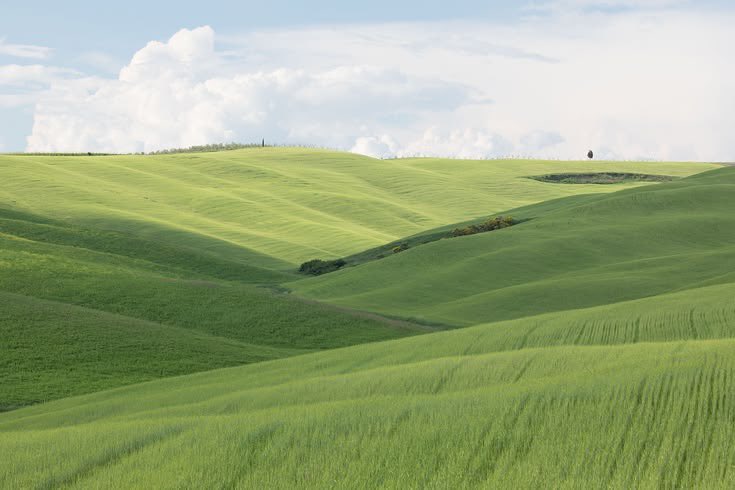 lammours's tweet photo. green lands https://t.co/hnA3stN4BF