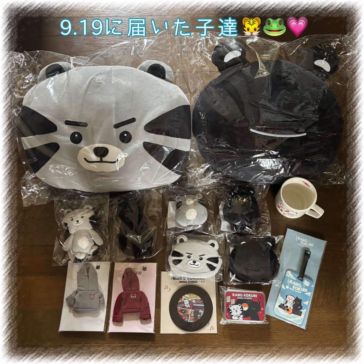 3rdzodiacalsign's tweet photo. どうする事も出来ない感情、遣る瀬なさを、
ものすごく辛い時に「さみしくないように」ってRANGとEOKURIが一緒にいてくれて、慰められたの。ありがとう🐯🐸💗

そして、帰って来たら追加分が届いてた📦✨

life with RANG&amp;EOKURI
#RANG&amp;EOKURI
#안효섭 https://t.co/d3GPDvyp8G