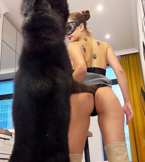 puppy9vi's tweet photo. I'm active and available for selling 💕✨
HMU - if you'd like to buy anything

https://t.co/7Vgu5W8gNQ

#contentcreator #sellingcontent #buyer #nsfwtwt #buyingNothing
#loveintheeyes❤️ #k9  #germanshepherd #zoo
 #rp #whentheBESTmatters #NashvilleK9 https://t.co/UfdWaCZBXR