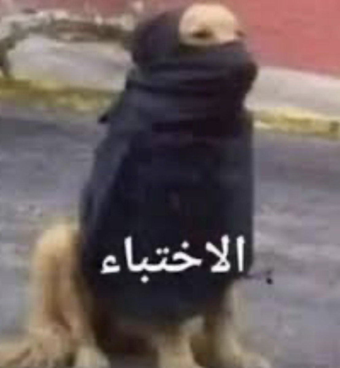 rrittly10's tweet photo. من كاس العالم بدعي ع لافوينتي عشان ما بلعبه اساسي https://t.co/oz8nsehdxa