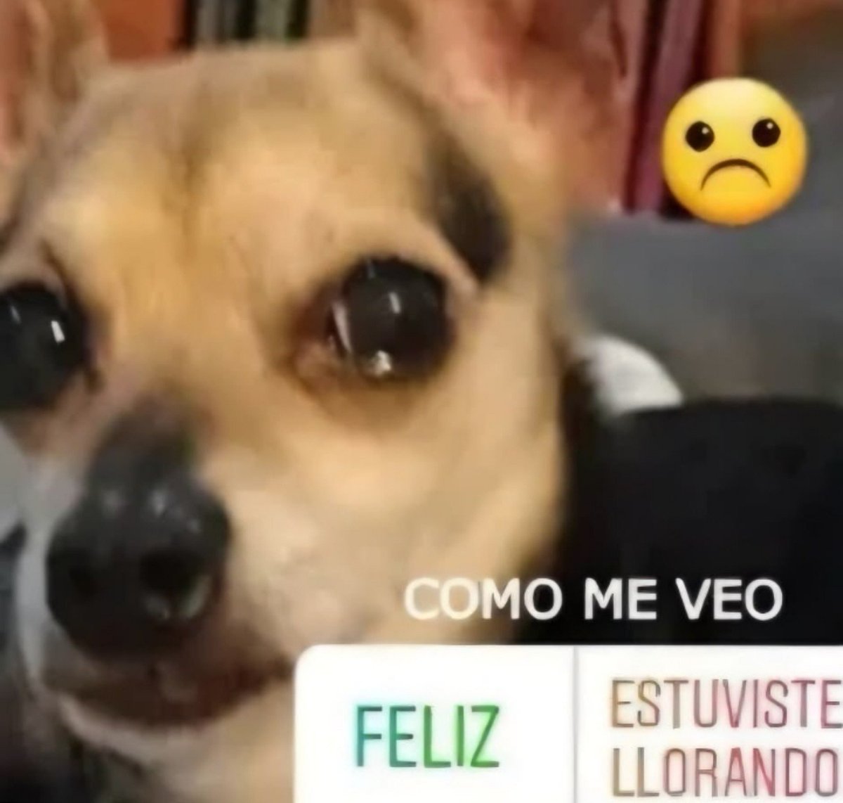 orumaitoo's tweet photo. ESTA ACTIVA y no me responde bueno https://t.co/tkhBlfmTVv