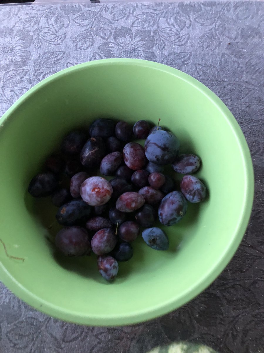 Bettyybeg's tweet photo. Doğanın bize verdikleri.🍑🍏🍎🍉 https://t.co/R52xXVKLZH