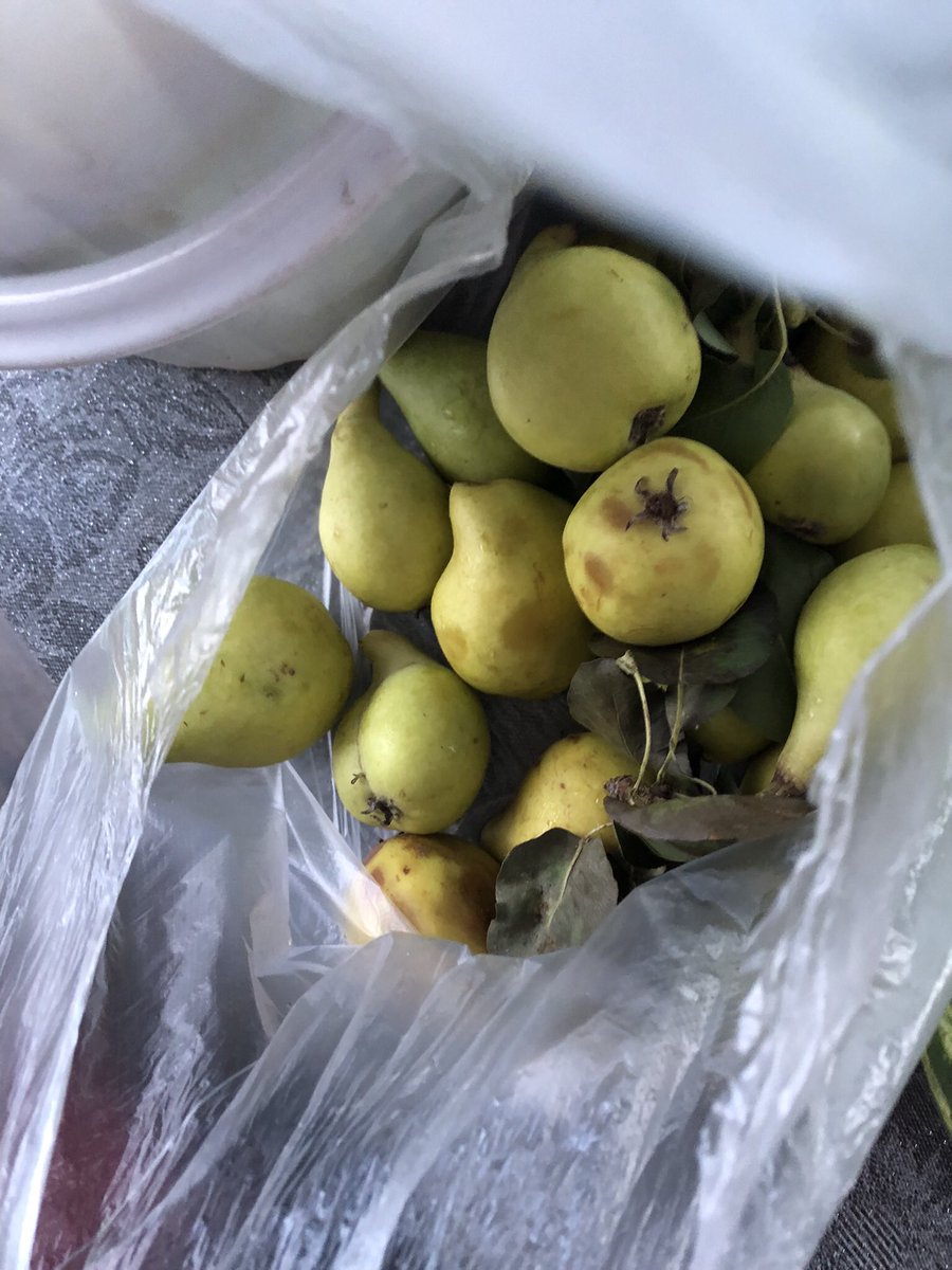 Bettyybeg's tweet photo. Doğanın bize verdikleri.🍑🍏🍎🍉 https://t.co/R52xXVKLZH