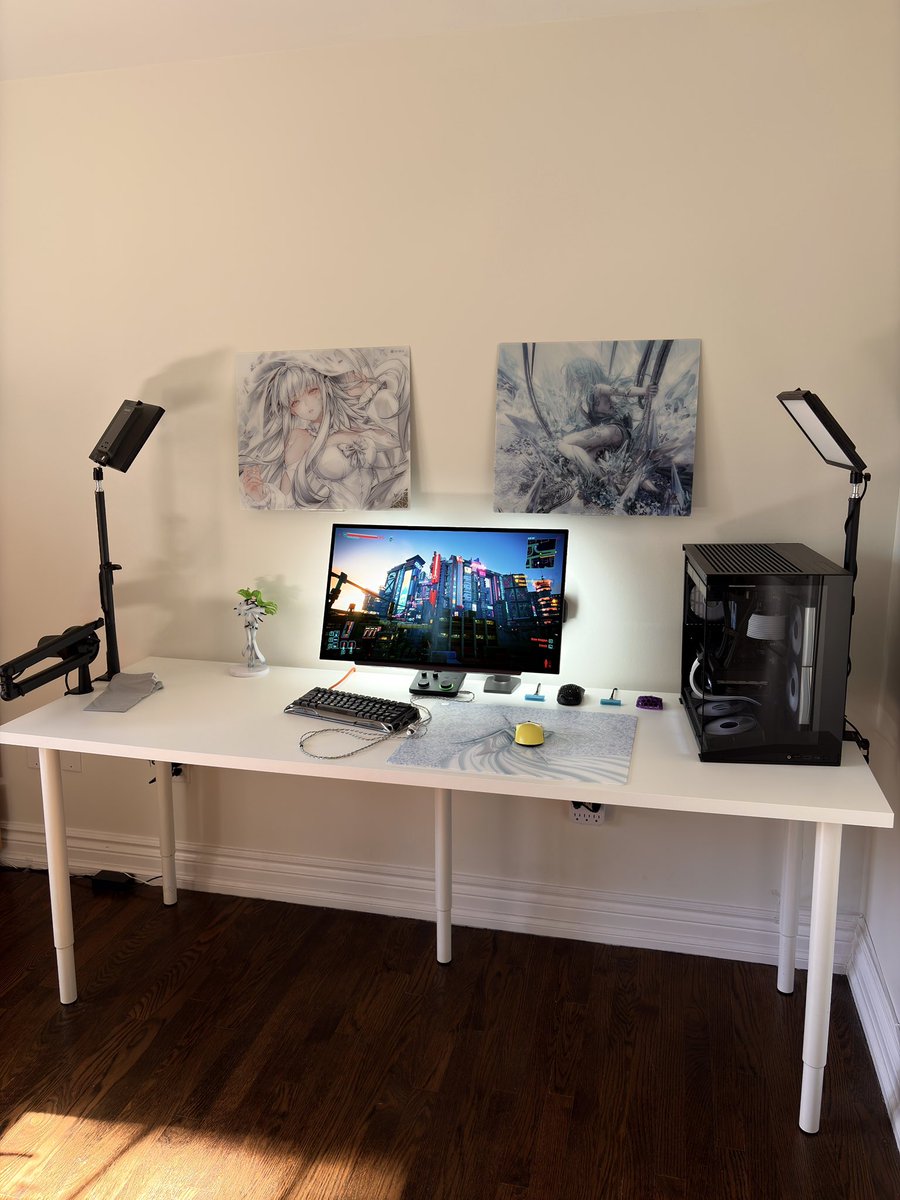 SpeedySetup's tweet photo. Finally some sunlight #desksetup https://t.co/grLSJDe9sa