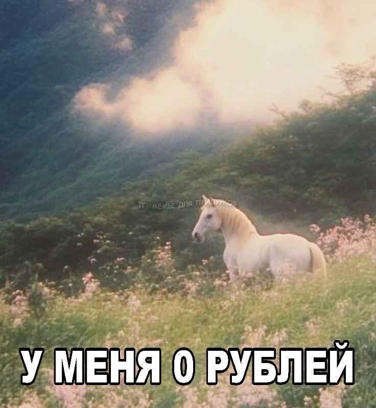wirrrrrrss_'s tweet photo. https://t.co/mGyguDqfr7