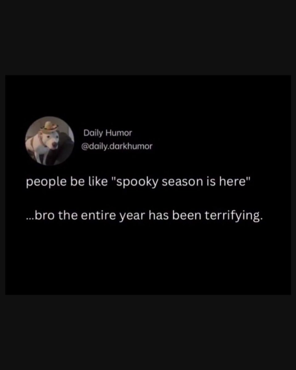 believingbizarr's tweet photo. Itβs been a decade this year
#paranormalmemes #spookymemes #meme #believingthebizarre #paranormalpodcasts https://t.co/XXDAKsZIYp https://t.co/RWaWRts2HN
