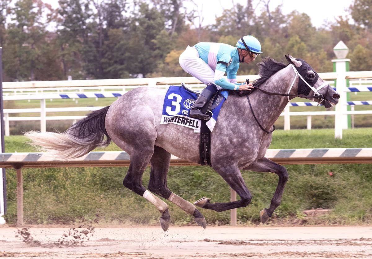 LaurelPark's tweet photo. 🏆 The Polynesian Stakes
🏇 Winterfell

T: Brittany Russell
J: Sheldon Russell https://t.co/lXAlo6ul1h