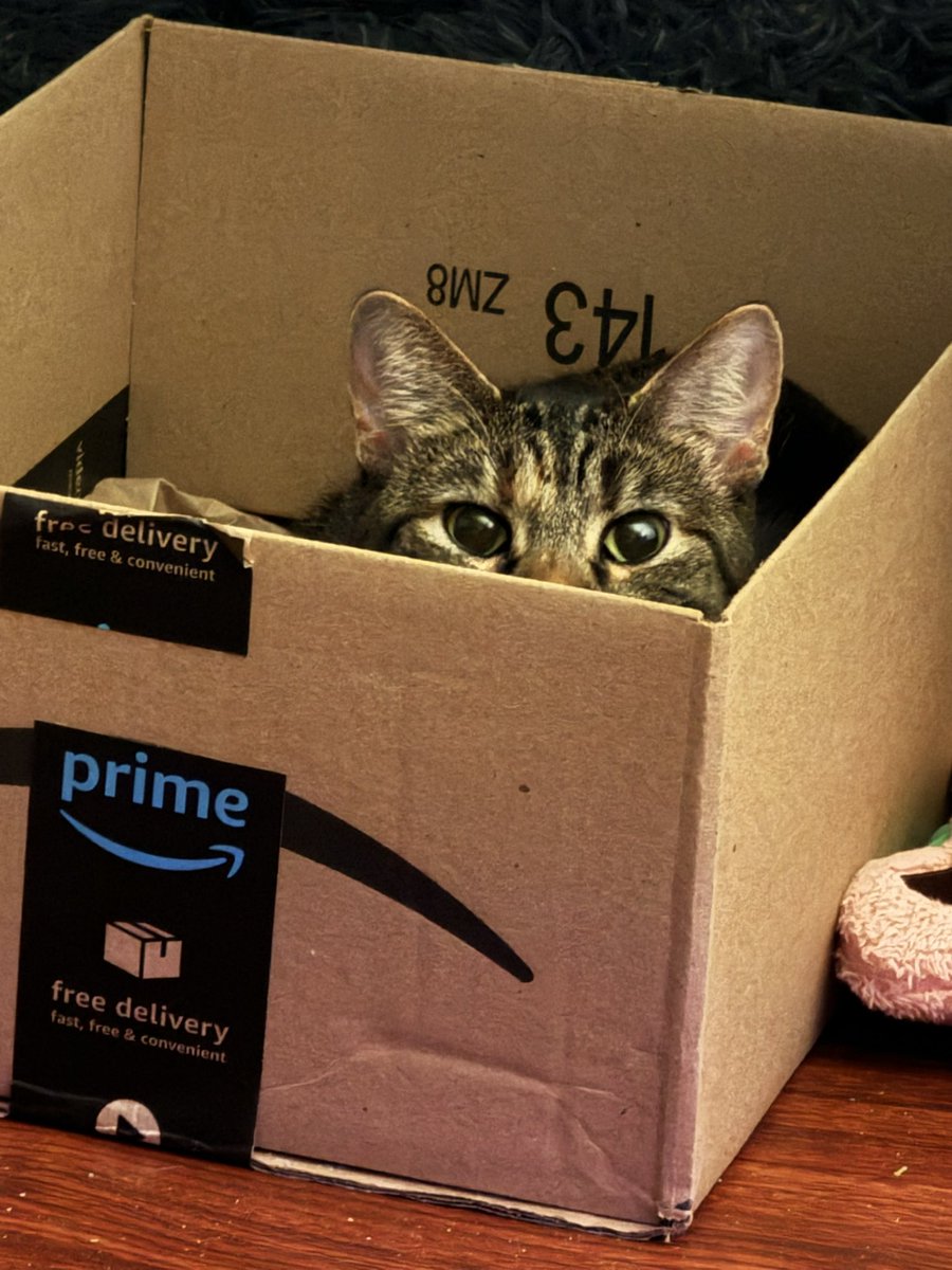 tokohik0's tweet photo. @oobbbear this normally doesnt happen but it made me tear up at work

yeah… how cruel could i be to leave my beloved sweeheart to wonder… https://t.co/8ldkKHpr6J