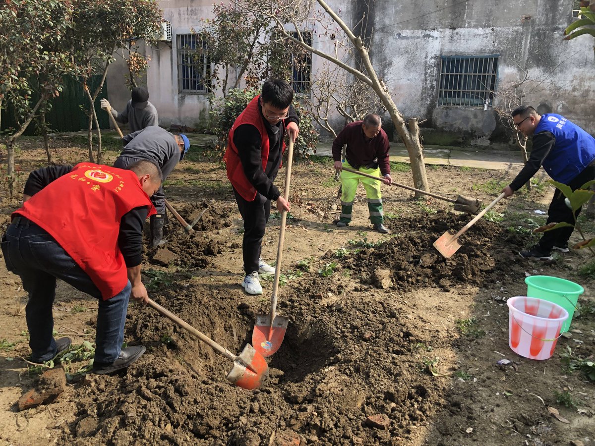 GabriellaCqlo's tweet photo. Ven a nuestro taller comunitario de plantación de árboles este sábado! Ayudemos a cuidar nuestro barrio y disfrutemos de un picnic juntos después. Todos son bienvenidos! https://t.co/CjDFhaPhCt