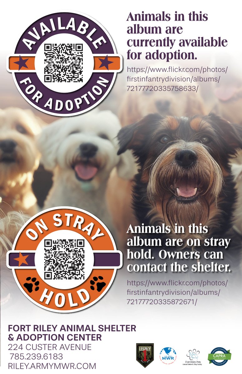 FortRiley's tweet photo. The Fort Riley Animal Shelter has two updated online albums to help our military and local community:
✨ Meet Adoptable Pets:
👉 Adoptable Pets Album
https://t.co/9HLNTiFtih

🔎 View Current Stray Intakes:
👉 Stray Intake Album
https://t.co/DYfRKyo7Op https://t.co/yxAyqbsYqU