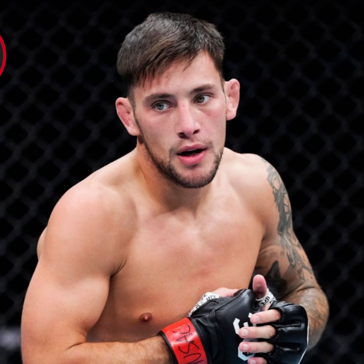 UFCArgentino's tweet photo. dale que hoy los quiero a todos bancando a Esteban Ribovics muchachos🇦🇷👊!!!

#UFC332 https://t.co/b1dR7hvjs6