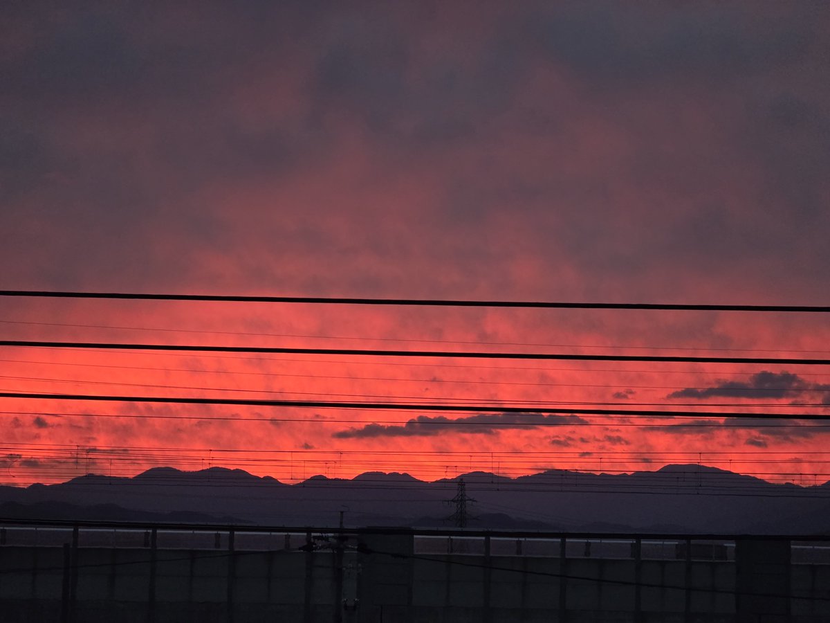 catnanana's tweet photo. おはようございます🌥️綺麗な朝焼けが徐々に広がってきている朝でございます🍃 https://t.co/R7SGSXDI6n
