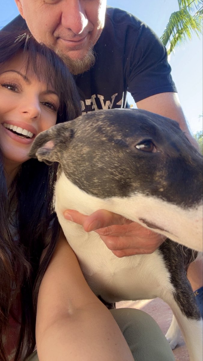 CatalinaCruz's tweet photo. Bull terrier love this weekend 🐶💕 https://t.co/9U04upozCe