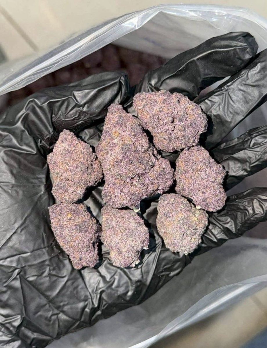 StartTradevr's tweet photo. Weed London Weed New York Weed Paris Weed Manchester Weed Los Angeles Weed Amsterdam Weed Birmingham Weed Chicago Weed Berlin Weed Liverpool Weed Miami Weed Madrid Weed Edinburgh Weed Houston Weed Rome Weed Glasgow Weed Atlanta Weed Barcelona Weed Las Vegas 
Weed Dubai Weed Leeds https://t.co/EJKrergEuU