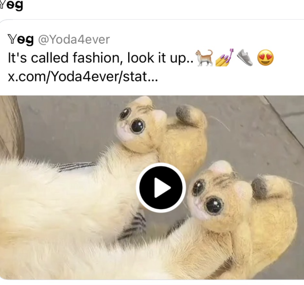 oniktimreh's tweet photo. Fox News putting #NickiMinaj up telling people to vote Red
😳
Vs
💫 Pimping my #Homemade Butternut Squash #Soup
with
Borscht,
crushed Tortilla chips
Pumpkin/Sunflower Sprinkles
🍜🌱😋
Let's break that down
📷Moi
#feastingfusion
#lazylowcostlittleluxuries https://t.co/fZCRAfOunE