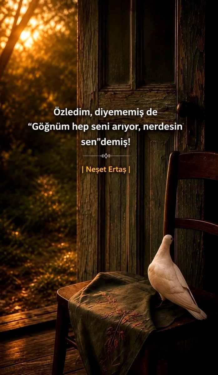 _yagmur_sima's tweet photo. ..... 

🌙 https://t.co/IKxzfYzS3m