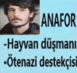 FerhatStark18's tweet photo. kızların yanında köpeğe hoşt dediğimiz için bizim itibar https://t.co/wTMVdYkUBh