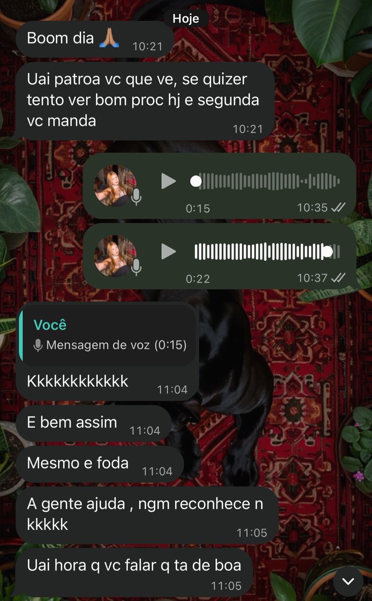 maryjaneACAB's tweet photo. eu quando tenho os melhores ctts de corre😿🩷🩷🩷🩷🩷🩷 https://t.co/mnIOESuR4d