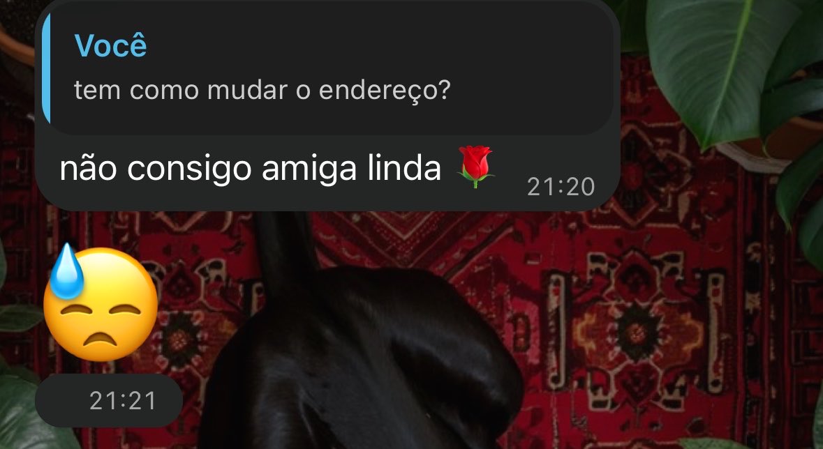 maryjaneACAB's tweet photo. eu quando tenho os melhores ctts de corre😿🩷🩷🩷🩷🩷🩷 https://t.co/mnIOESuR4d