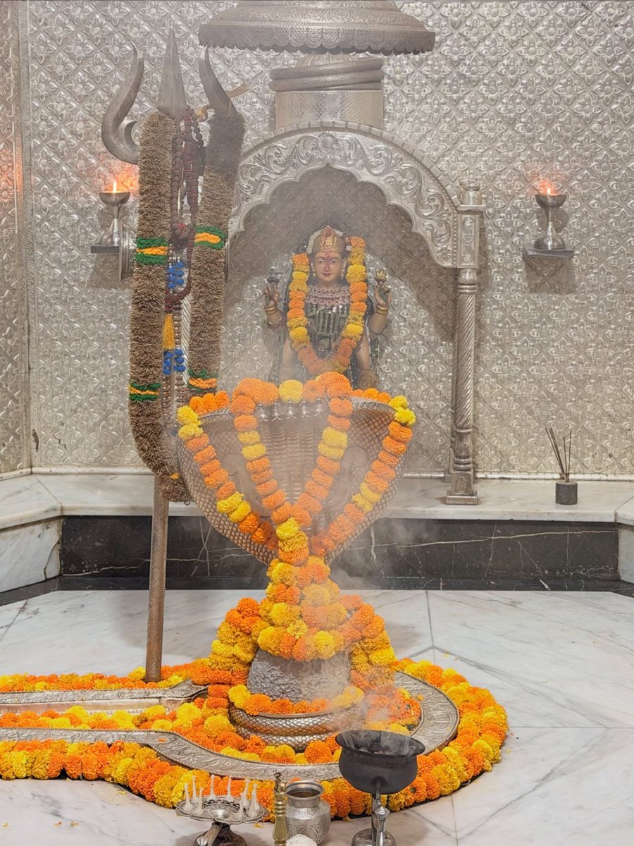 12Jyotirling's tweet photo. श्री नागेश्वर ज्योतिर्लिंग जी के आज के संध्या आरती दिव्य श्रृंगार दर्शन 03.10.2026 https://t.co/6vMWJDo6j4